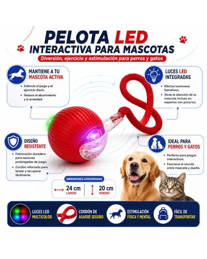Pelota Interactiva Led Para Mascotas