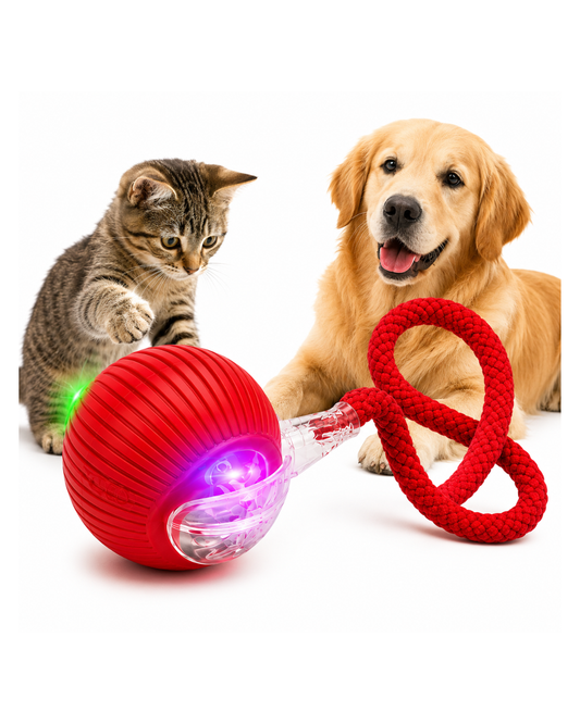 Pelota Interactiva Led Para Mascotas